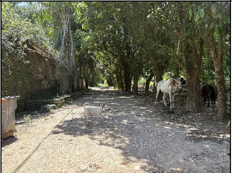 Terreno, Anil em Rio de Janeiro, RJ — foto 2 de 3