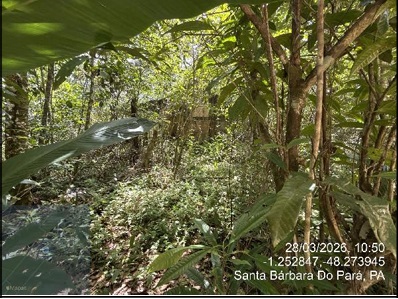 Casa, Bairro Pau D Arco em Santa Bárbara do Pará, PA — foto 3 de 3
