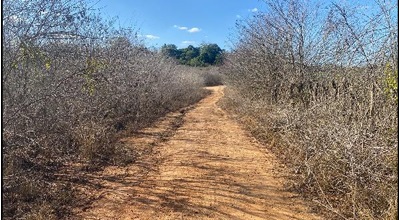 Terreno, Loteamento Recanto C em Lagoa do Carro, PE — foto 3 de 3
