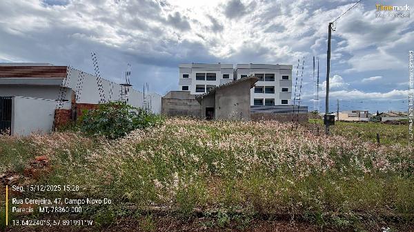 Terreno, Jardim Alvorada, Campo Novo do Parecis, MT