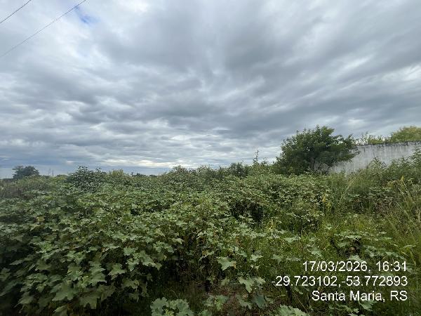 Terreno, Lot Jardim Berleze, Santa Maria, RS