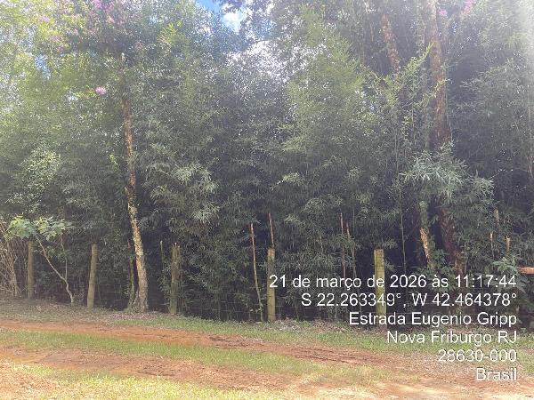 Terreno, Amparo, Nova Friburgo, RJ