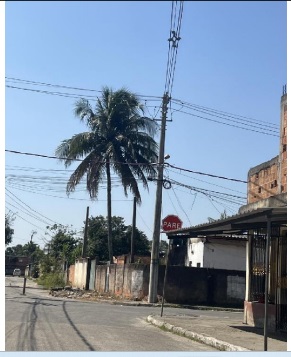 Casa, Engenho em Itaguaí, RJ — foto 3 de 3