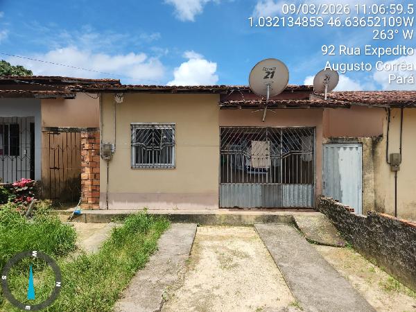 Terreno, São João, Augusto Corrêa, PA