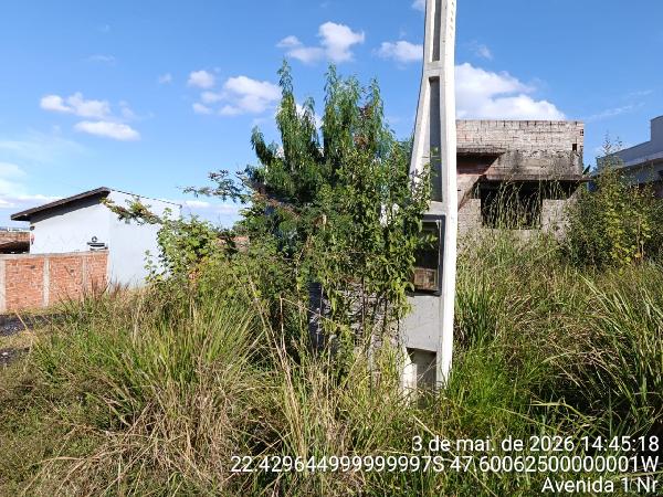 Casa, Jardim Nova Rio Claro, Rio Claro, SP