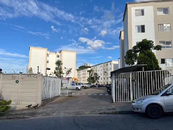 Apartamento, Santa Amélia, Belo Horizonte, MG