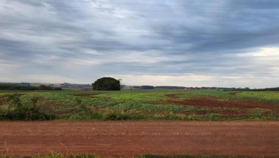 Rural em Terra Roxa, PR — foto 2 de 4