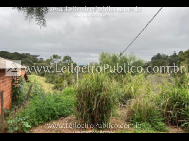 Terreno em Pinhalão, PR — foto 7 de 8