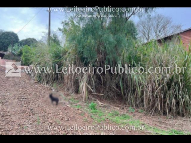 Terreno em Pinhalão, PR — foto 8 de 8