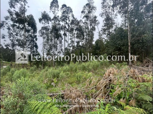 Rural em Bom Retiro, SC — foto 7 de 8
