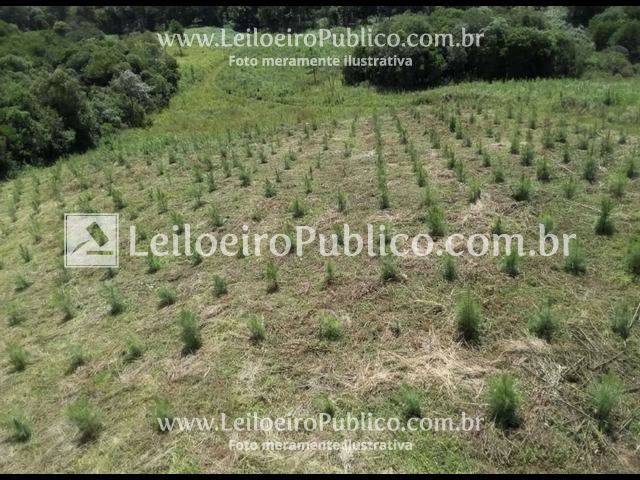 Terreno em Porto União, SC — foto 6 de 8