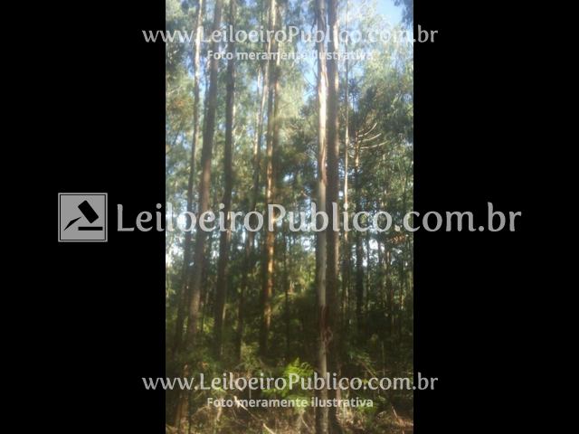 Terreno em Porto União, SC — foto 7 de 8