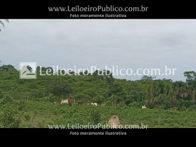 Rural em Alta Floresta, MT — foto 4 de 8