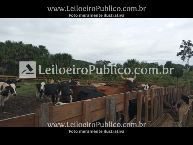Rural em Alta Floresta, MT — foto 7 de 8