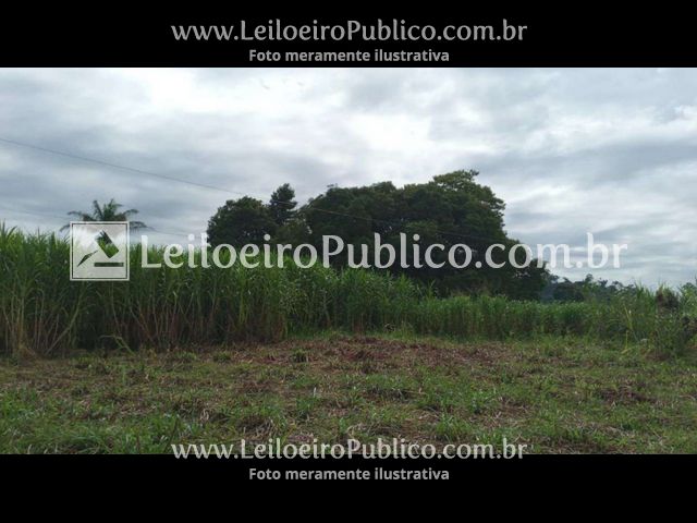 Rural em Alta Floresta, MT — foto 8 de 8