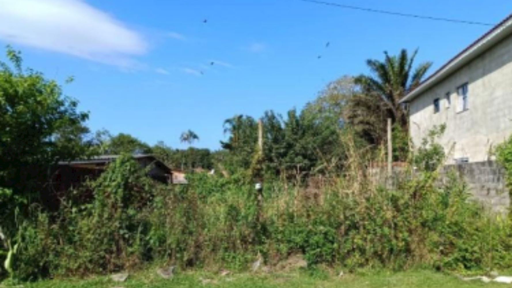 Terreno na Vila Nossa Senhora dos Navegantes - Cananéia/SP