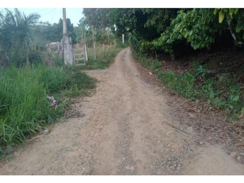 Casa, Corte de Pedra em Presidente Tancredo Neves, BA — foto 8 de 8