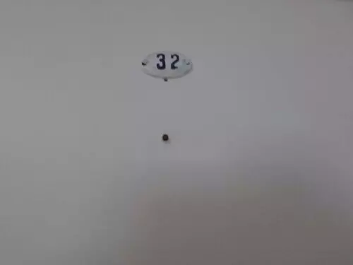 Apartamento, Pitangueiras em Guarujá, SP — foto 6 de 8