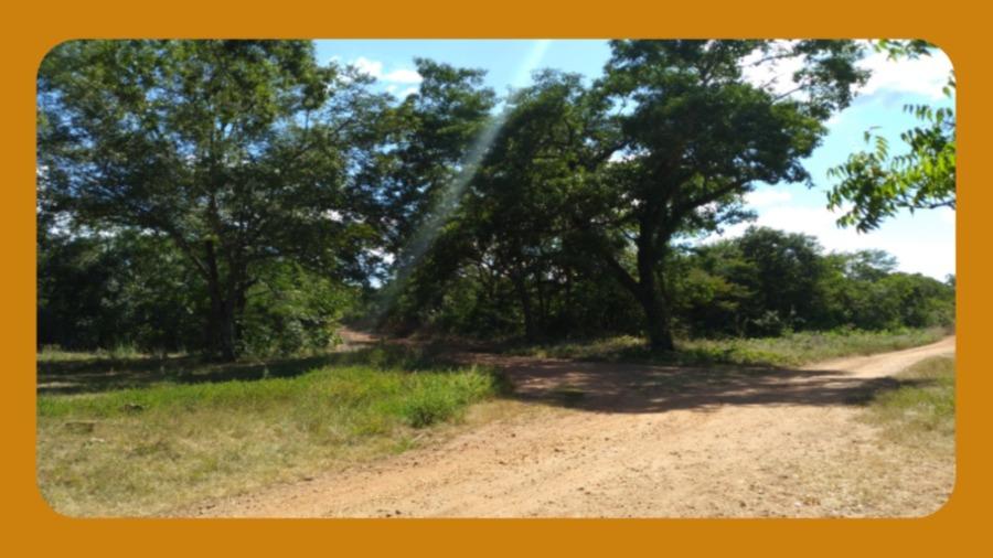 Imóvel Rural Denominado Fazenda Irapuá, no Lugar Tabocal, na Zona Rural de Santa Rita de Cássia/Ba, com Área Total de 1.876,00ha.__