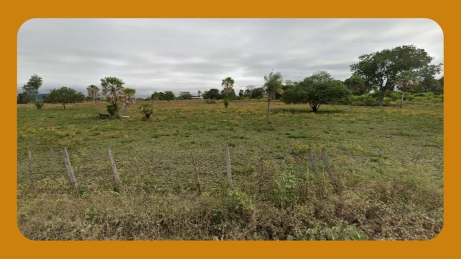 Imóvel Rural Medindo 2,73 Ha, Situado no Lugar Denominado Cipozinho, nas Imediações da Estrada do Povoado Matinha, no Município de Umbaúba/Se.__