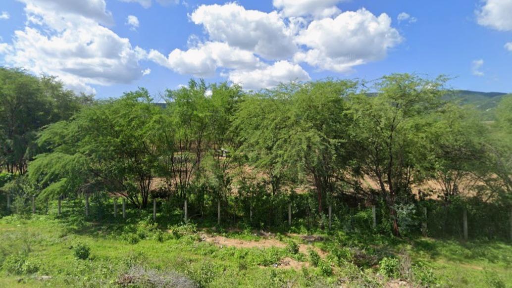 Imóvel Rural, 1007ha, Areia de Baraúna/PB