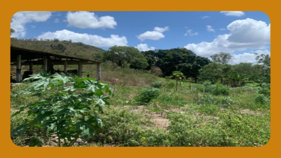 Uma Parte de Terras, Encravadas no Lugar Denominado Lages, Pilõezinhos/Pb, Medindo 3,0 Hectares e Treze Metros de Frente por Doze Metros de Fundo, Possuindo Edificações/Galpões e 01 Casa.__