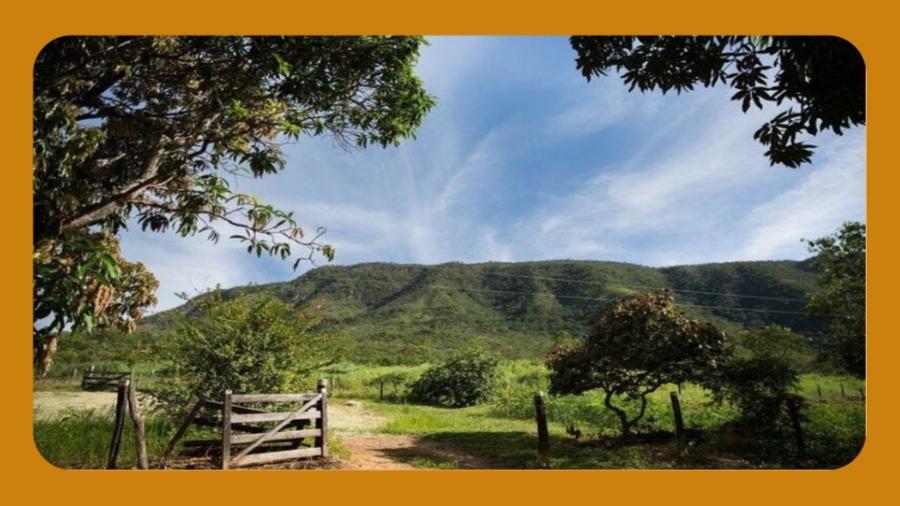 Uma Parte de Terras com Área de 300 Alqueires, Equivalente A 1.452.0 Hectares, Situado no Imovel Denominado Caba Vida, com Denominacao Local de Fazenda Bonsucesso, Niquelândia/Go --