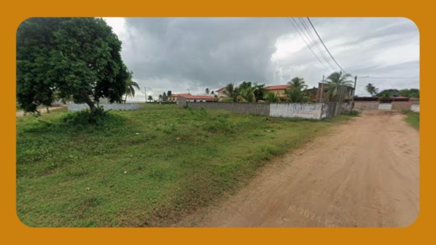 Imóvel Rural de 25 Hectares Denominado Fazenda Sagitário, Situado na Regiao do Conego de Boa Vista, Encruzilhada, Bahia-Ba --