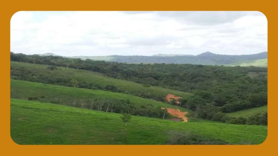 Imóvel Rural Denominado Fazenda Santa Rosa, Sem Edificação, Apenas Área de Pasto e de Mata, Cajueiro/Al. com Área de 33 Hectares.__