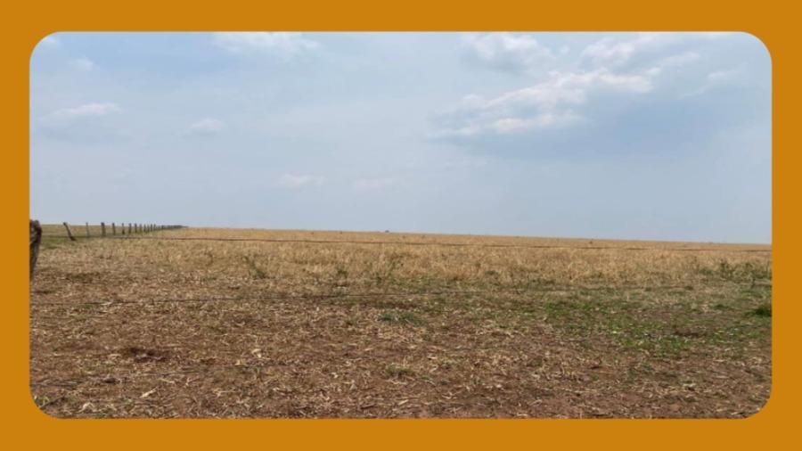 Fazenda Gabrielly, Localizada na Zona Rural de Brasnorte/Mt, com Área de 497ha Aproximadamente.__