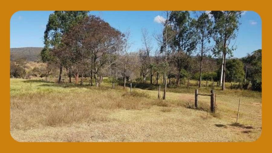 Imóvel Denominado Fazenda Bandeira, Composto Pelos Lotes 126-A e 125 da Gleba Brejão Iii Etapa, Wanderlândia/To, com Área Total de 306.4408ha.__