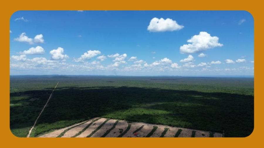 Terras da Fazenda Baraúna, em Barra/Ba, Medindo 3.005,00 Ha. --