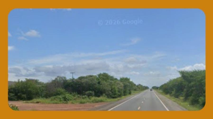 Gleba de Terras, no Lugar Chamado Chapada dos Guinés (Distante Aproximadamente 10 Km da Br-020), Zona Rural, Francisco Santos/Pi. com Área de 21 Hectares.__