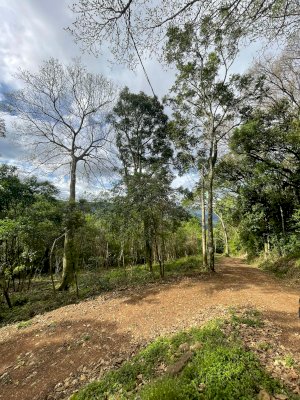 Chácara/Sítio, Rural, CENTRO