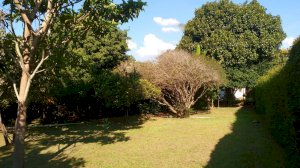 Casa Condomínio, Residencial, 3 dormitório(s), 2 vaga(s) de garagem
