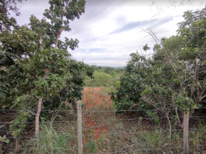 Lote, Residencial, Garden Ville