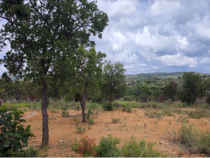 Lote, Residencial, Garden Ville