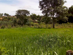 Lote, Comercial, São Sebastião