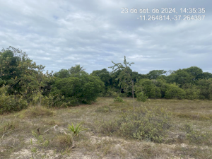 Lote, Consultar, Loteamento Vila Rica do Abais