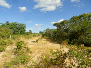 Lote, Residencial, Santa Rita