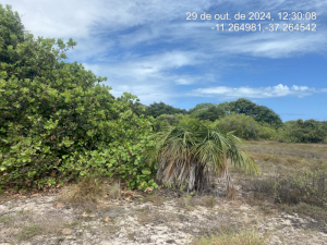 Lote, Consultar, Loteamento Vila Rica do Abais