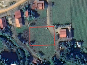 Lote, Rural, Nega Chica