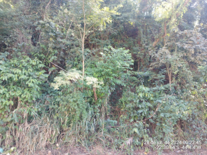 Lote, Residencial, Vale do Sol