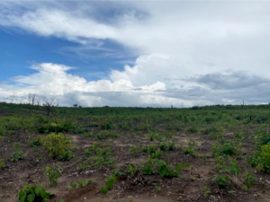 Fazenda, Residencial, Zona rural