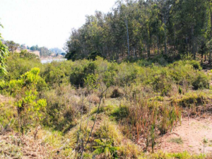 Fazenda, Rural, Zona Rural