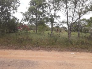 Lote em Condomínio, Residencial, Chã de Capoeira