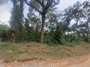 Lote, Residencial
