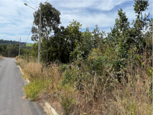 Lote, Residencial, Loteamento Lagoa Quente de Caldas Novas