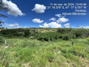 Lote, Misto, Parque das Flores