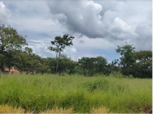 Lote, Residencial, Garden Ville